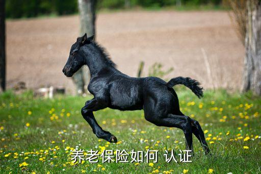 省本级企业养老认证,企业养老认证app下载