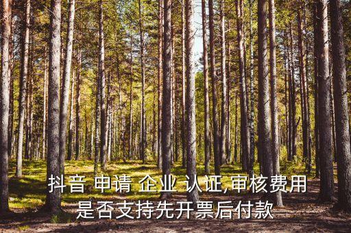  抖音 申请 企业 认证,审核费用是否支持先开票后付款