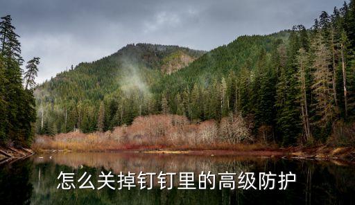 怎么关掉钉钉里的高级防护