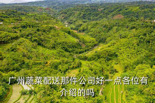  广州蔬菜配送那件公司好一点各位有介绍的吗