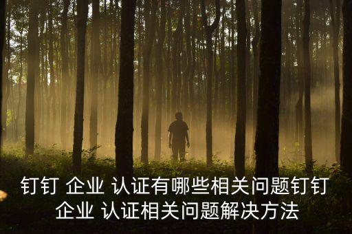 钉钉 企业 认证有哪些相关问题钉钉 企业 认证相关问题解决方法