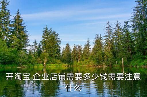 开淘宝 企业店铺需要多少钱需要注意什么