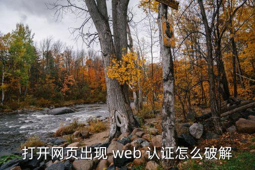 打开网页出现 web 认证怎么破解