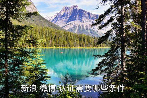新浪 微博 认证需要哪些条件