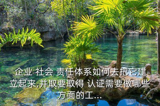  企业 社会 责任体系如何去把它建立起来,并取要取得 认证需要做哪些方面的工...