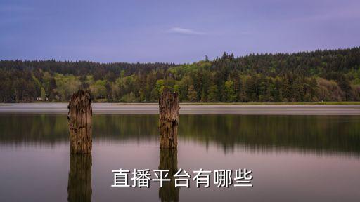 体育赛事直播企业认证,006体育赛事直播平台