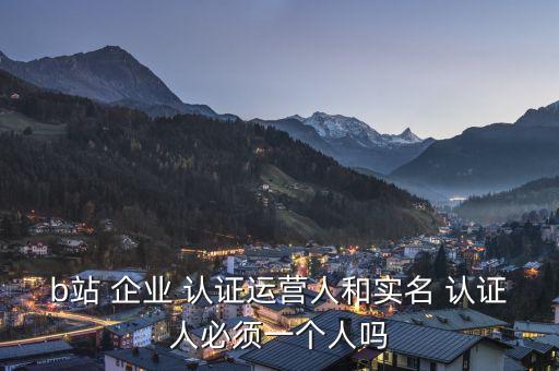 b站 企业 认证运营人和实名 认证人必须一个人吗