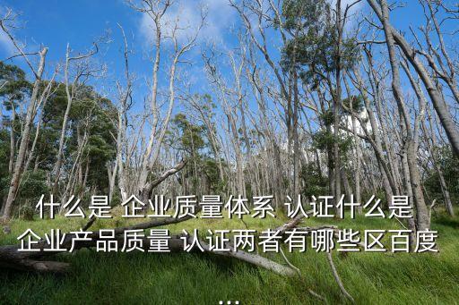什么是 企业质量体系 认证什么是 企业产品质量 认证两者有哪些区百度...