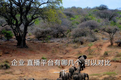企业电脑直播认证,抖音企业认证后可以开直播吗