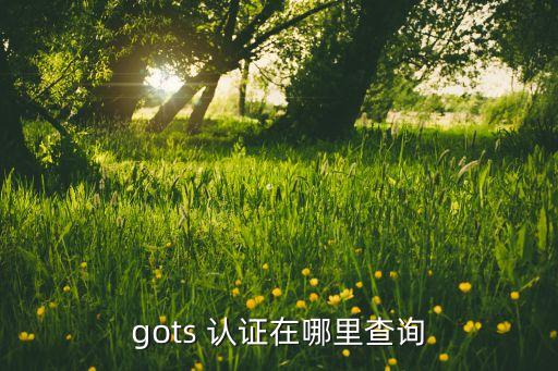 gots 认证在哪里查询