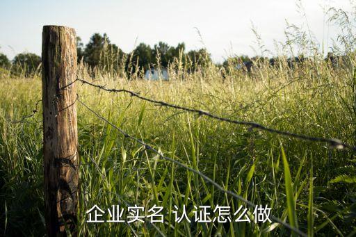  企业实名 认证怎么做