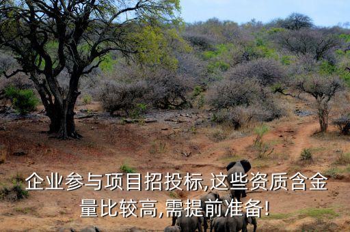  企业参与项目招投标,这些资质含金量比较高,需提前准备!