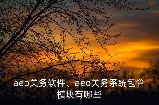 aeo关务软件、aeo关务系统包含模块有哪些