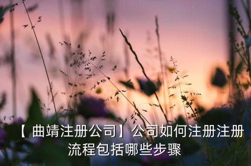 【 曲靖注册公司】公司如何注册注册流程包括哪些步骤