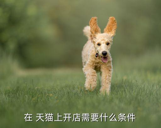 在 天猫上开店需要什么条件