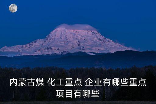 内蒙古煤 化工重点 企业有哪些重点项目有哪些