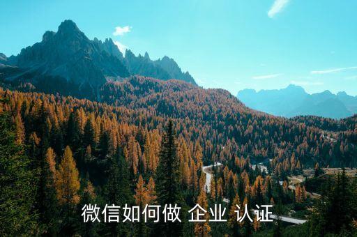 微信如何做 企业 认证