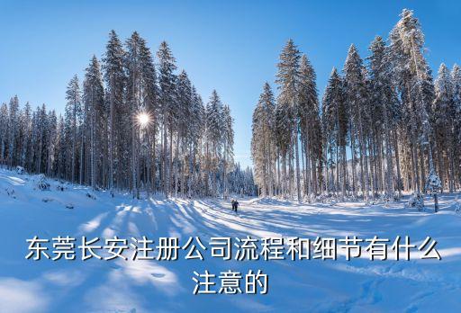  东莞长安注册公司流程和细节有什么注意的