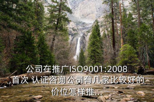 公司在推广ISO9001:2008,首次 认证咨询公司有几家比较好的价位怎样推...