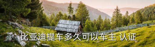 比亚迪车企业认证