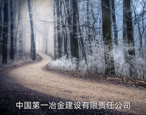 中国第一冶金建设有限责任公司