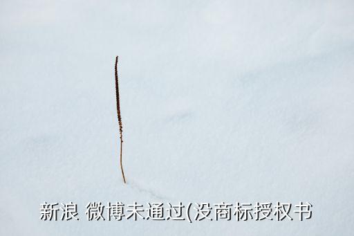 企业微博认证支付费用多少,视频号企业认证费用如何支付