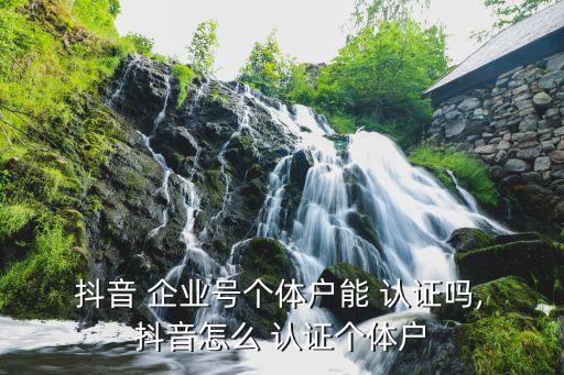  抖音 企业号个体户能 认证吗, 抖音怎么 认证个体户