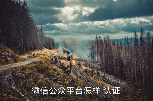 微信公众平台怎样 认证
