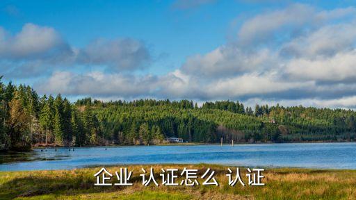  企业 认证怎么 认证