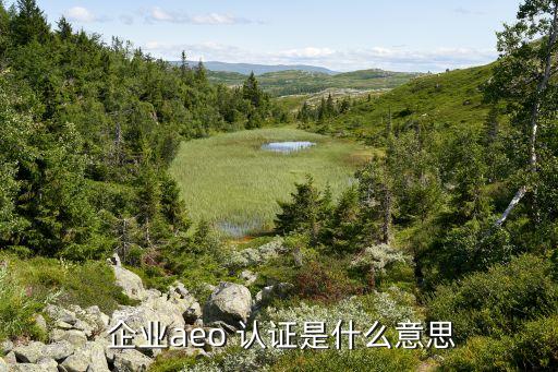  企业aeo 认证是什么意思