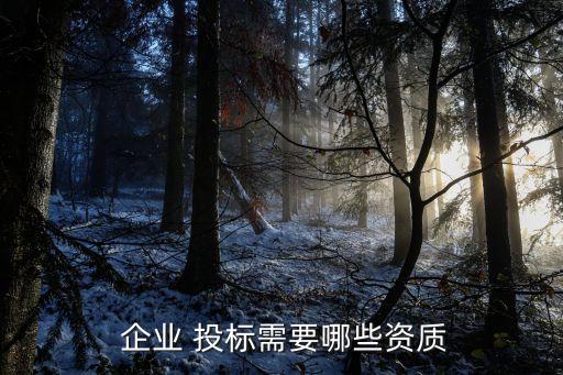 建筑企业投标体系认证,浅谈建筑企业质量管理体系认证
