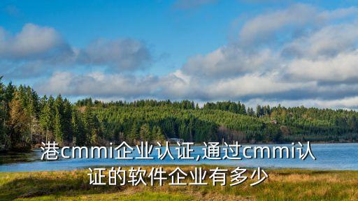 防城港cmmi企业认证,通过cmmi认证的软件企业有多少