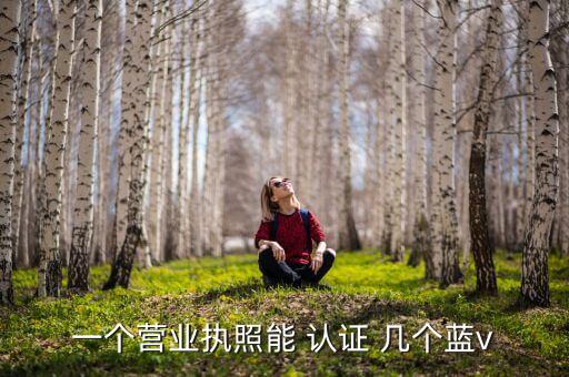 一个营业执照能 认证 几个蓝v