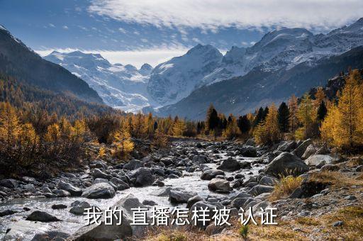 我的 直播怎样被 认证