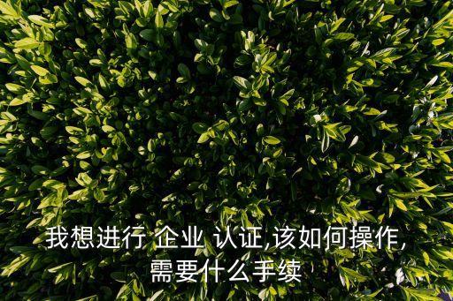 我想进行 企业 认证,该如何操作,需要什么手续