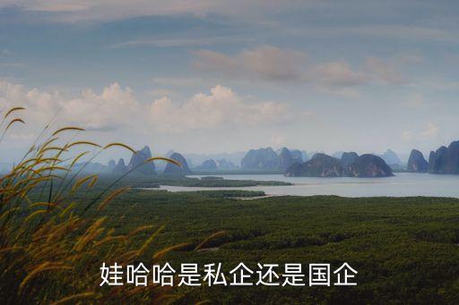 娃哈哈是私企还是国企