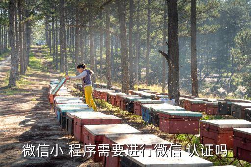 微信小 程序需要进行微信 认证吗