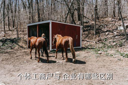  个体工商户与 企业有哪些区别