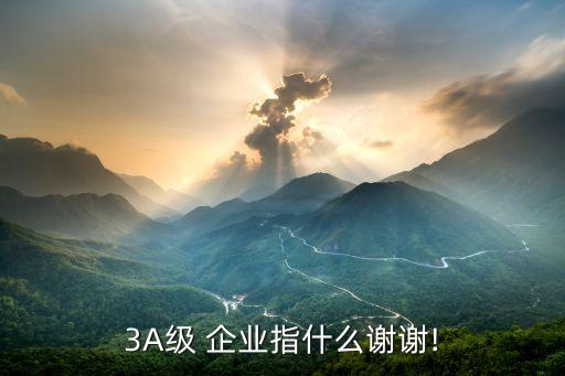 3A级 企业指什么谢谢!