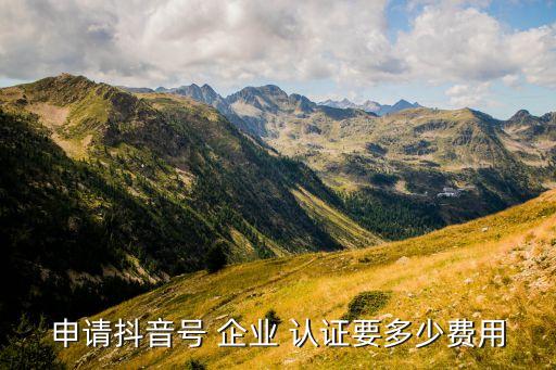 申请抖音号 企业 认证要多少费用