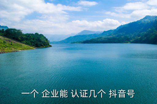一个 企业能 认证几个 抖音号