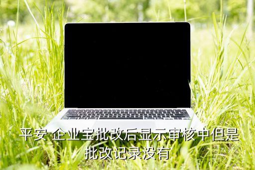  平安 企业宝批改后显示审核中但是批改记录没有