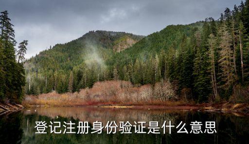 企业登记实名认证,下载辽宁企业登记实名认证
