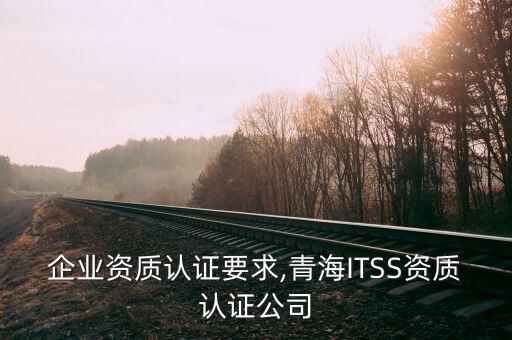 青海企业资质认证要求,青海ITSS资质认证公司