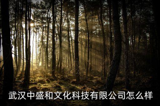  武汉中盛和文化科技有限公司怎么样