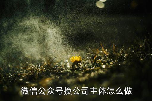  微信公众号换公司主体怎么做