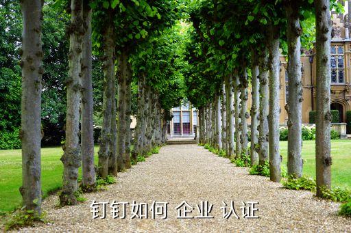 钉钉如何 企业 认证