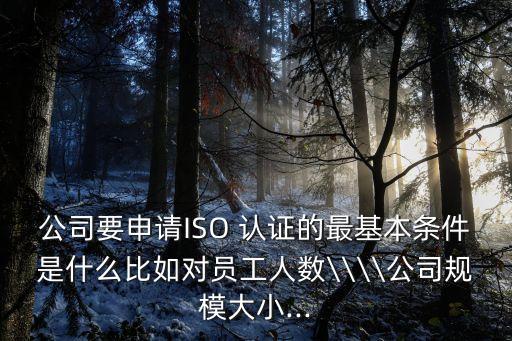 公司要申请ISO 认证的最基本条件是什么比如对员工人数\\\\公司规模大小...