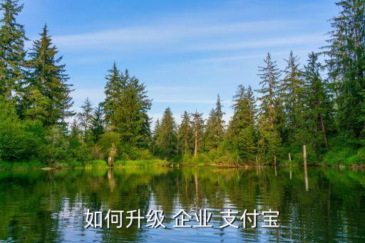 认证企业支付宝要哪些资料,企业支付宝账户未完成认证流程