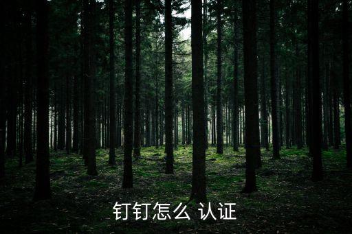 钉钉怎么 认证